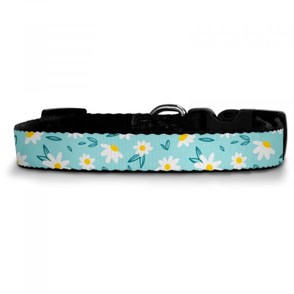 Collar Blue Daisy