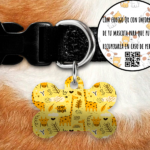 Girafa