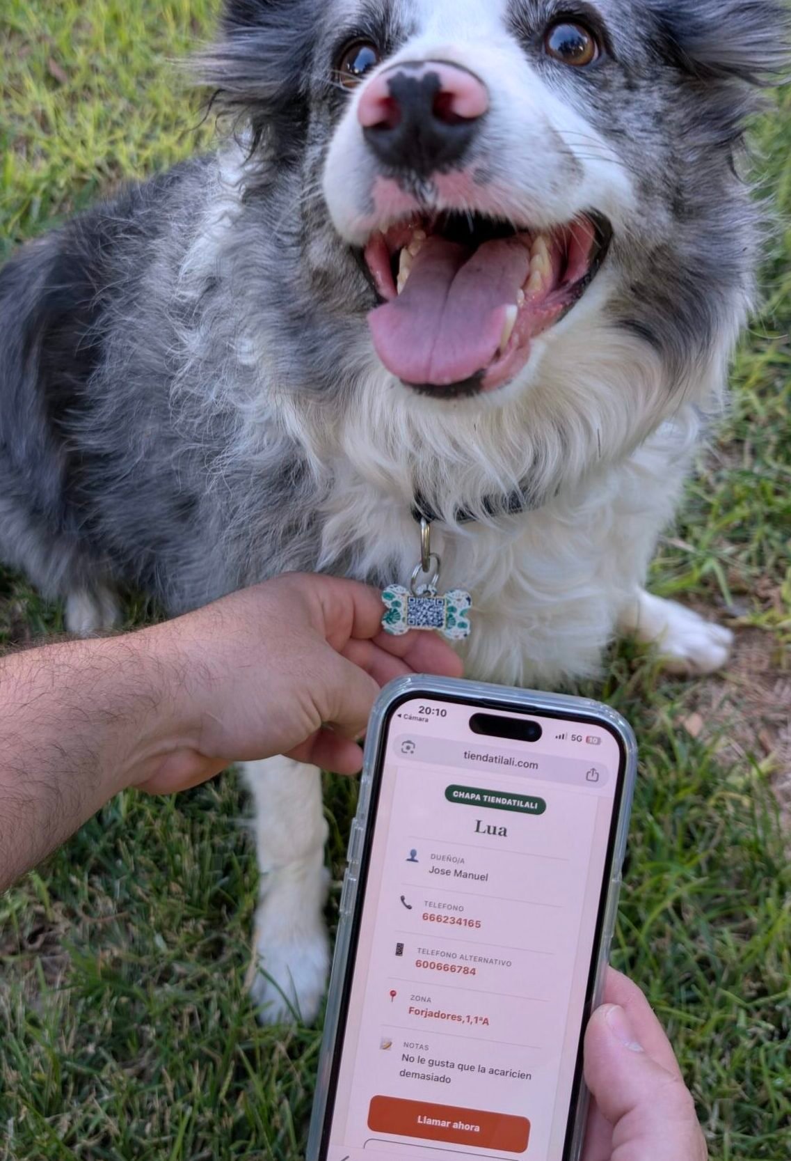 Chapa con QR recuperaci&oacute;n